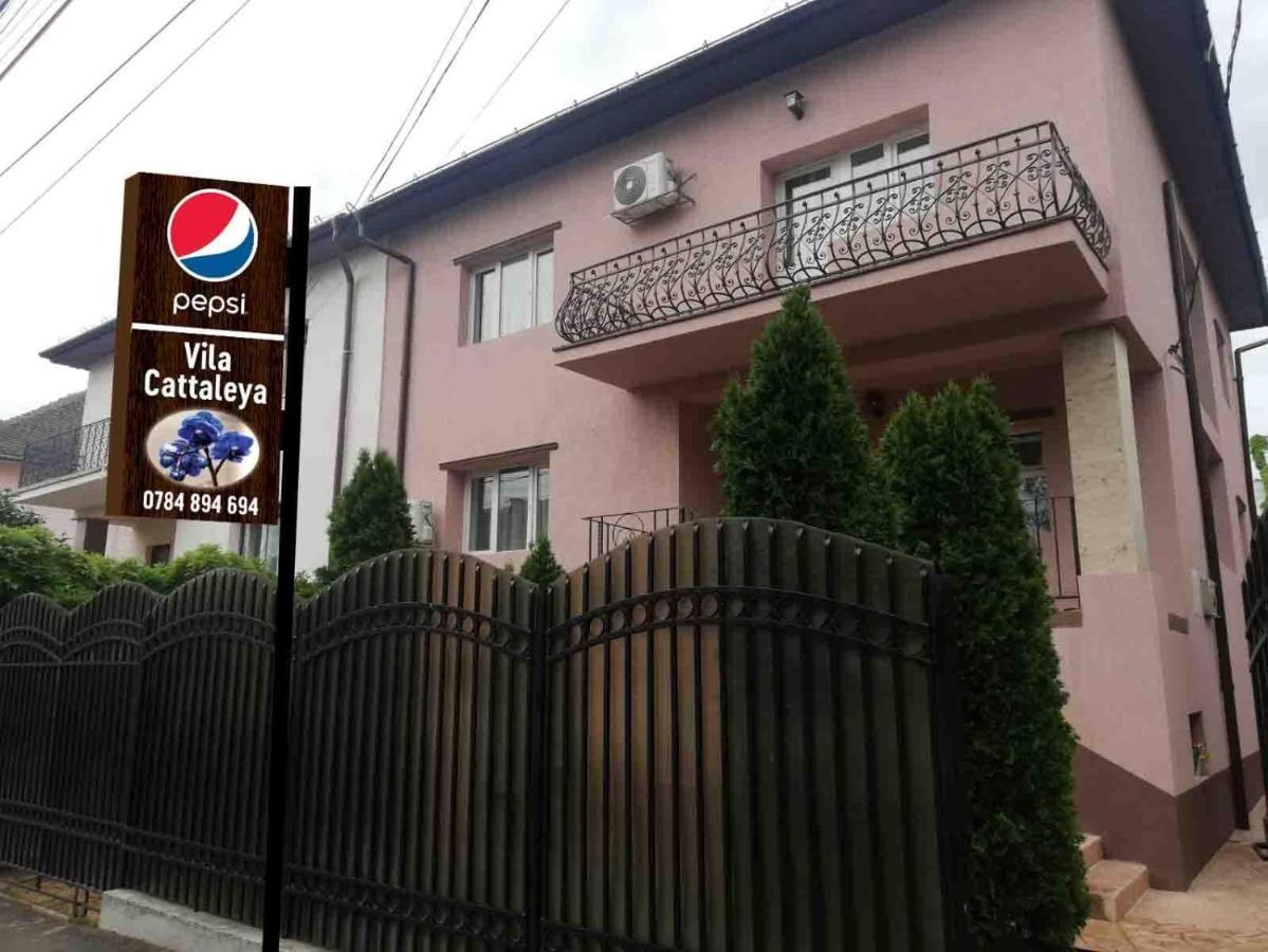Отель Casa Cattleya Тыргу-Жиу Экстерьер фото