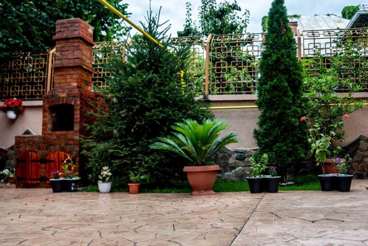 Отель Casa Cattleya Тыргу-Жиу Экстерьер фото